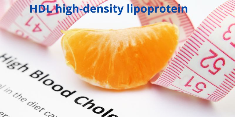HDL high-density lipoprotein